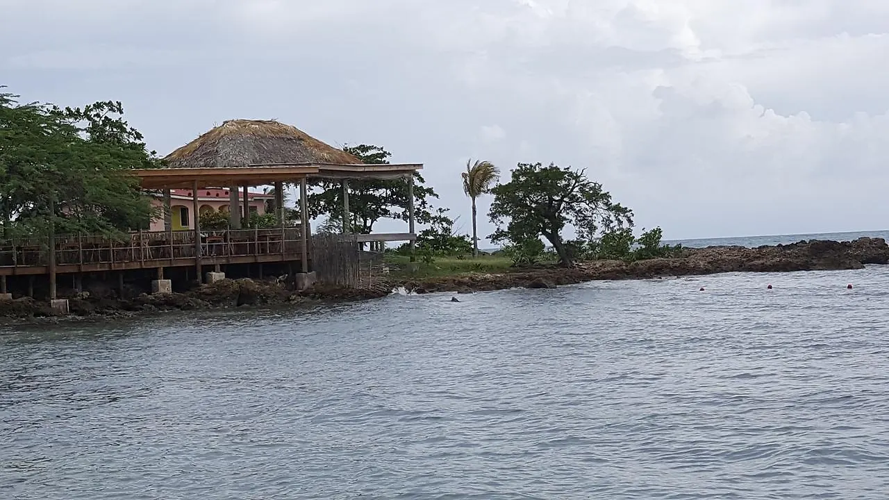 Bed & Breakfast Ultimate Freedom Bed And Breakfast Santa Cruz Jamaica