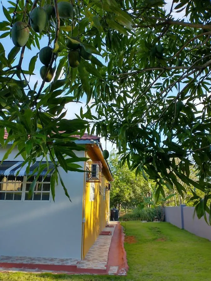 Ultimate Freedom Bed And Breakfast Santa Cruz